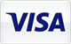 Visa karta płatnicza akceptowana w kasynie Vera John